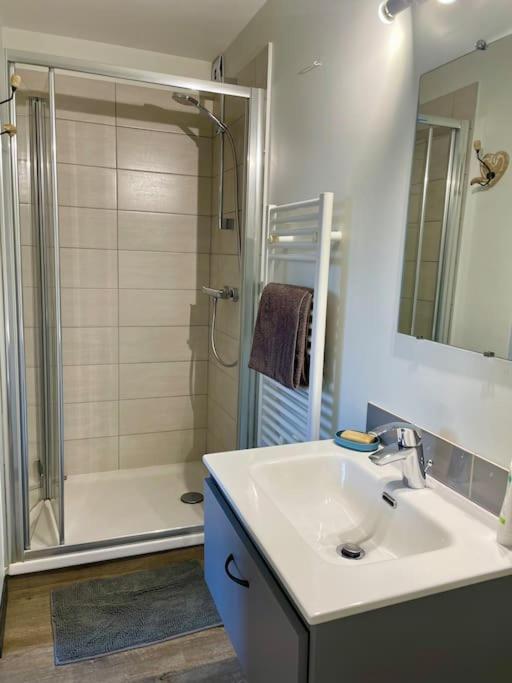 Appartement Independant 30 M² A 500M Du Lac, 2 Velos Et Parking Fournis Севріє Екстер'єр фото